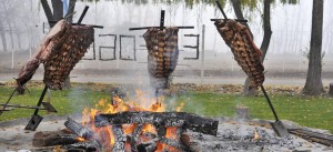 fogon1